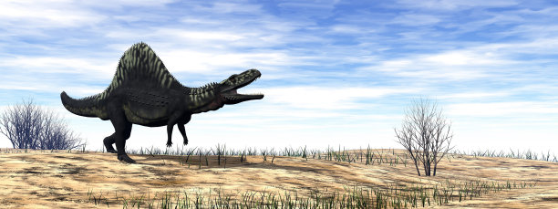 沙漠中的亚利桑那龙恐龙- 3D渲染图片下载