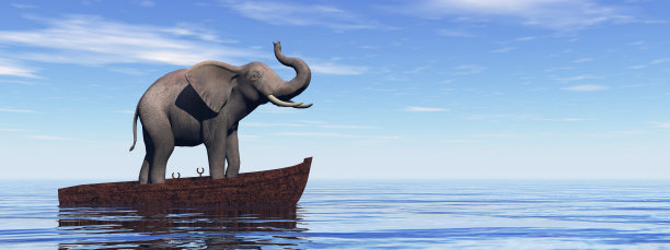 大象站在木船- 3D渲染图片下载