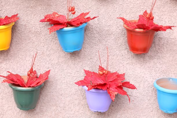 五颜六色的罐子和红叶图片下载