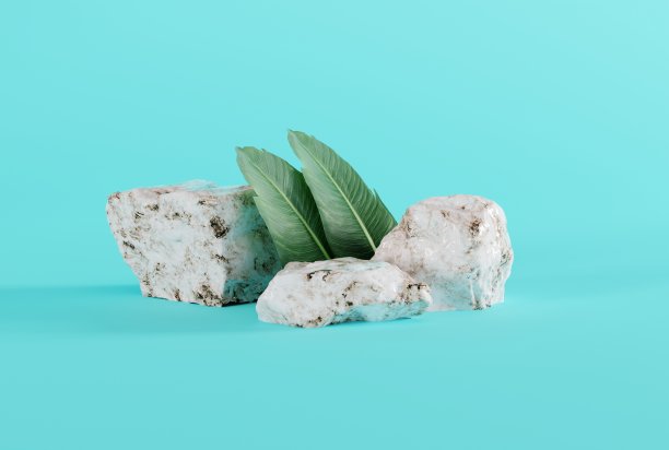 蓝色背景的花岗岩，叶影和绿色植物。图片下载