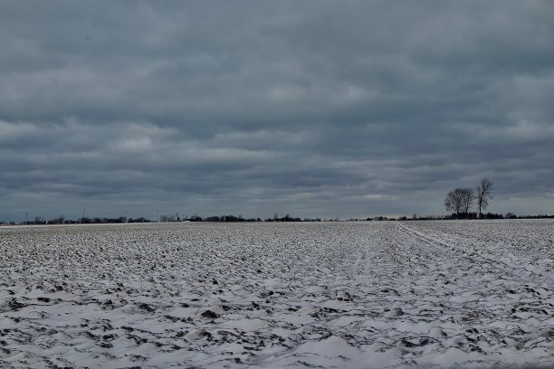 雪地和多云的天空图片下载