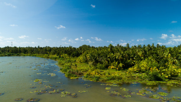 马尔代夫一个岛屿上的一个湖的广角航拍照片图片下载