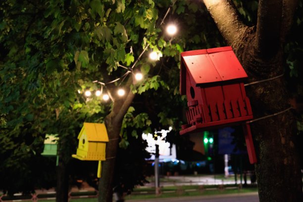 三个鸟屋挂在公园的树上的水平照片，背景模糊图片下载