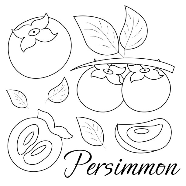 一套绘有异域风情的水果-柿子。画出黑白插图图片下载