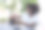 照顾室内植物的妇女。园艺作为爱好的库存照片图片下载