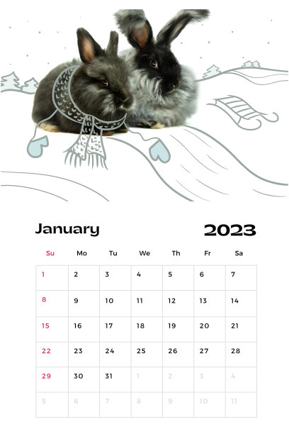 2023年1月日历页，有两只兔子的照片和插图元素。图片下载