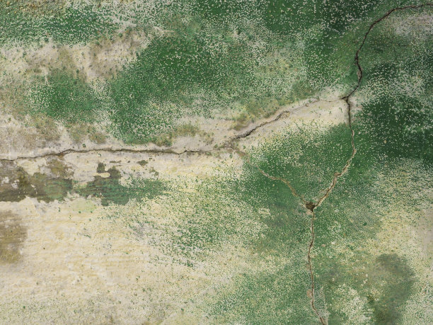 旧的白色水泥墙，上面涂着绿色的喷漆——作为背景再好不过了图片下载