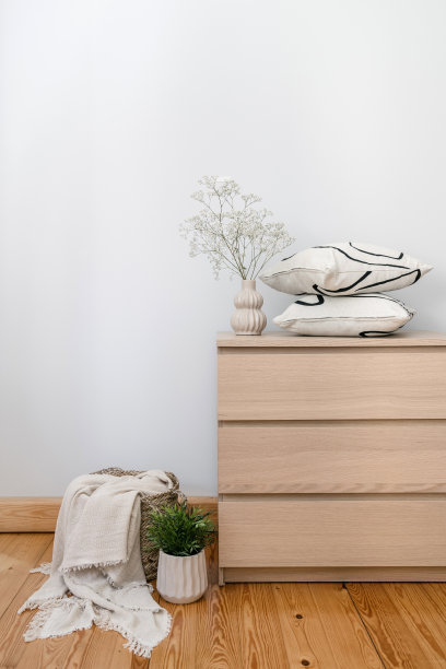 木制衣柜抽屉与装饰在现代公寓图片下载