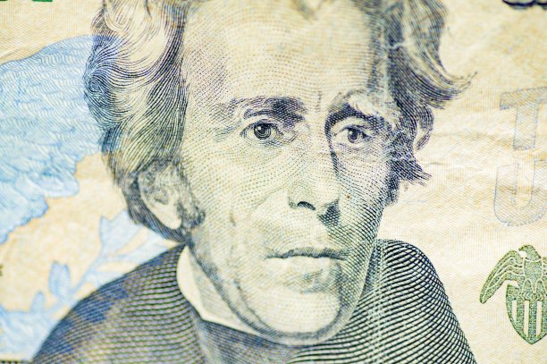 20美元钞票上安德鲁·杰克逊的特写镜头图片下载