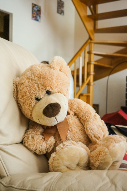 沙发上一只毛茸茸的泰迪熊的垂直镜头图片下载
