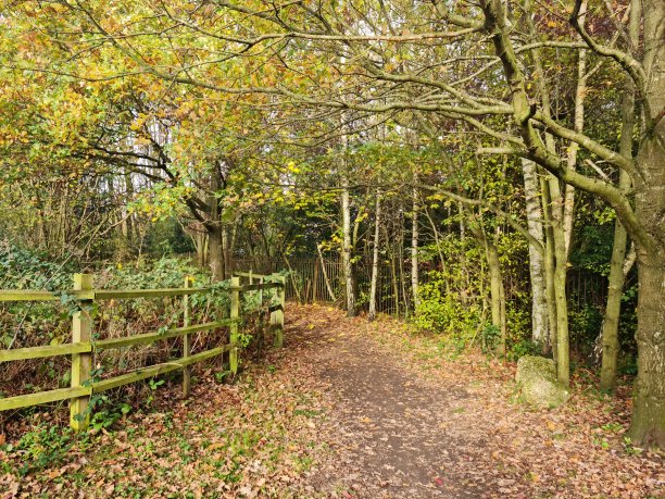 无人机拍摄的英国乡村美景图片下载