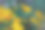抽象花油画。图片下载