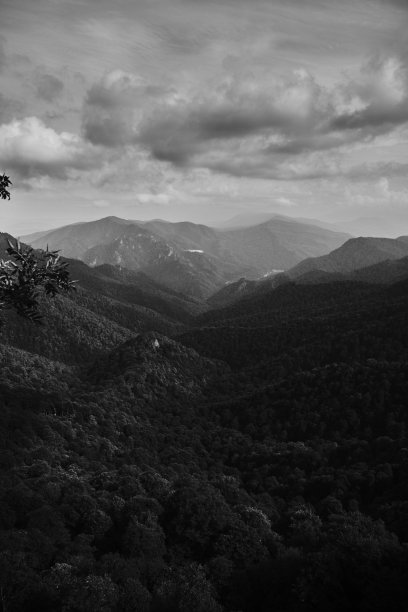 在多云的天空下，森林覆盖的丘陵和山脉的垂直拍摄，黑白分明图片下载