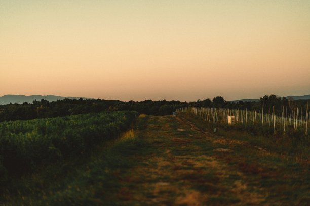 乡村和农田之间的一条小路的美丽水平镜头图片下载