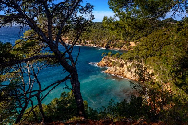 从树木覆盖的悬崖上拍摄的岩石海湾的美丽照片。非常适合做墙纸。图片下载