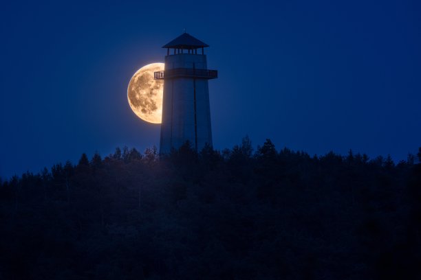 一个神秘的白色塔的水平拍摄在夜晚的森林与满月可见。图片下载
