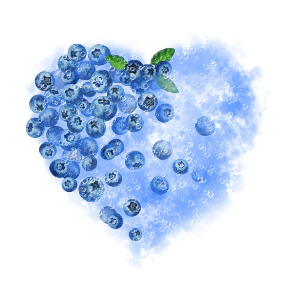 美丽的心形图案由成熟的蓝色蓝莓叶，雾和肥皂泡，孤立在白色的背景。手绘水彩画。图片下载