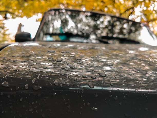 秋色背景的车雨后。明亮的橙黄色树叶反射在车身表面。图片下载