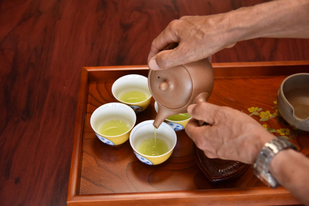 日本/英国男子在日本采摘茶叶-库存图片图片下载