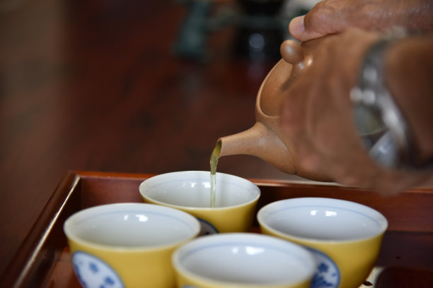 日本/英国男子在日本采摘茶叶-库存图片图片下载