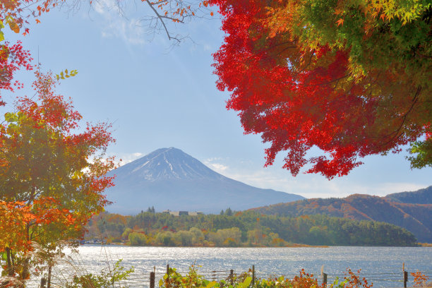 富士山五湖的秋叶颜色:川口湖图片下载