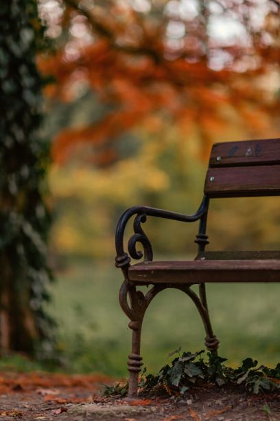在一个舒适的秋天公园长椅角落的美丽特写-完美的秋天主题背景图片下载