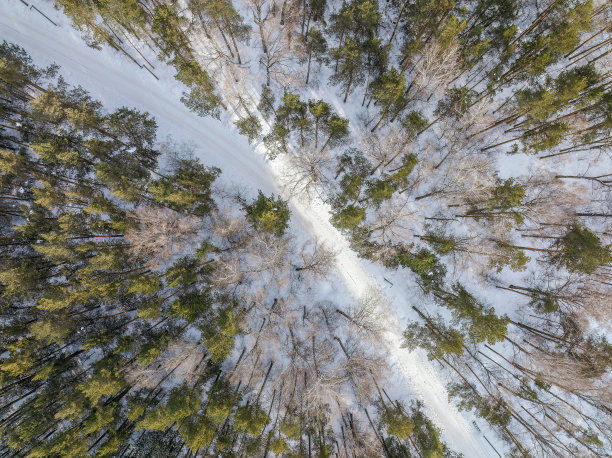 飞越冬天的山脉与道路蜿蜒和松林。自顶向下视图。风景摄影图片下载