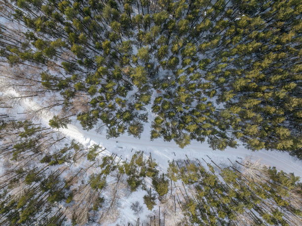 飞越冬天的山脉与道路蜿蜒和松林。自顶向下视图。风景摄影图片下载