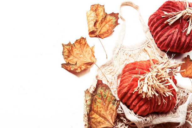 秋季组合：手工缝制的南瓜和秋叶，留有文字空间图片下载