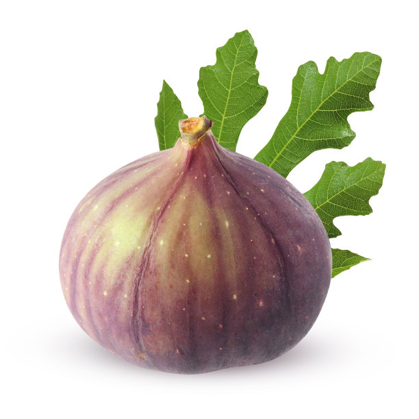 孤立的无花果在白色背景与修剪路径。带叶的整个水果。图片下载