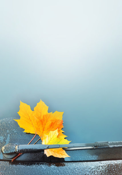 秋天，雨刷清除了车窗上的雨水。图片下载