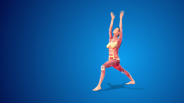 3D人Virabhadrasana I战士1变化扩展姿势在蓝色背景图片下载