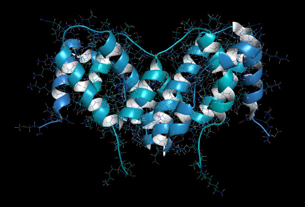 干扰素γ (IFNg)细胞因子分子，3D渲染。Recombi图片下载