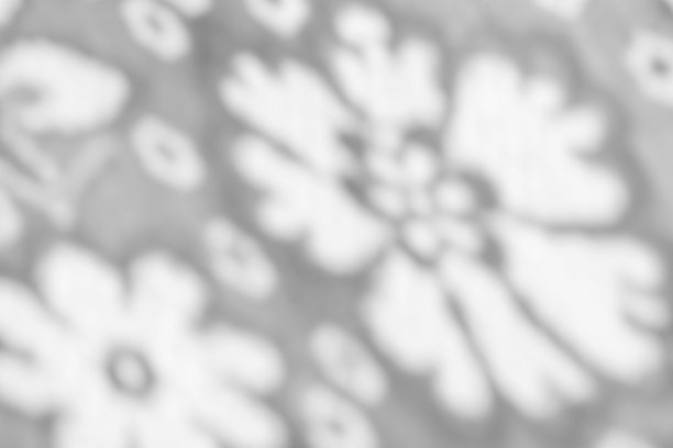 花的剪影，花的模糊影。白色表面上印花窗帘的阴影。模糊背景，软对焦图片下载