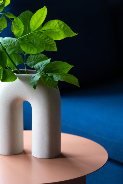 陶瓷花瓶与叶枝在室内现代侧桌，特写图片下载