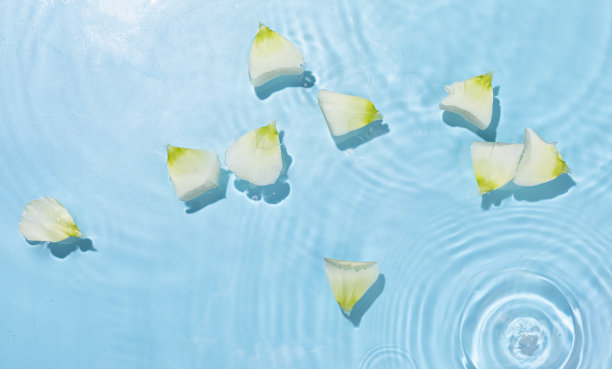 高角度拍摄的花瓣水涟漪在水面上图片下载