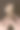 一个男人的手打开一个旧的日记本的特写垂直镜头图片下载
