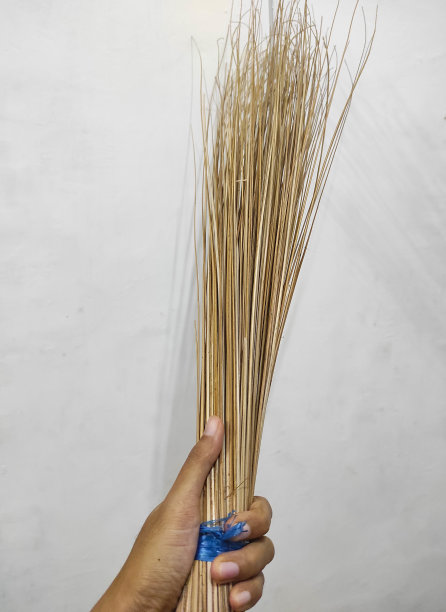 手拿椰子扫帚棒或Sapu Lidi在印度尼西亚-股票照片。图片下载