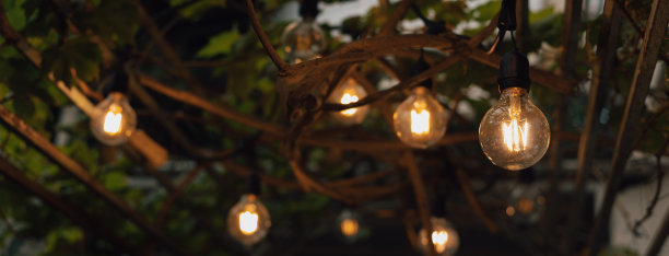 悬挂在葡萄树上的老式灯泡，用于装饰室外花园。图片下载