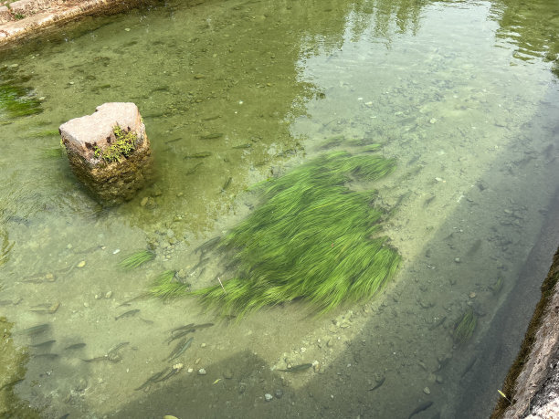 克尔卡 - 克罗地亚罗佐瓦茨国家公园靠近希贝尼克和扎达尔，拥有塞文瀑布 比卢希卡布克、乔里查布克、马诺伊洛瓦奇斯拉波维、松多夫耶尔、米利亚奇卡巴掌、罗什基巴掌、斯克拉丁斯基布克图片下载