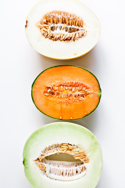 不同种类的瓜的俯视图图片下载