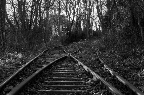 灰色镜头的废弃铁路被光秃秃的树木包围在一个怪异的森林图片下载