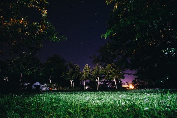夏天星空下的深绿色草地公园，树木繁茂图片下载