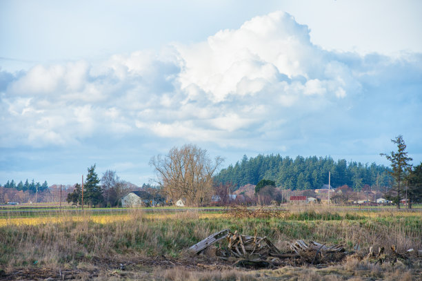 华盛顿州斯卡吉特谷图片下载