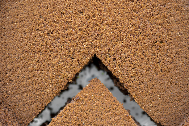 一杯热巧克力或可可图片下载