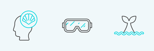 在海浪扇贝海中设置线鲸尾图片下载