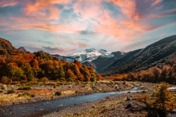 太阳背景下的野生风景的美丽照片图片下载