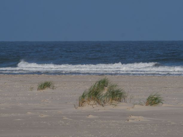 德国Juist岛上美丽的沙滩，背景是北海图片下载