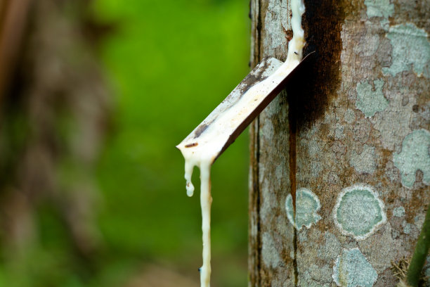 刀片上有干燥的橡胶污渍或乳胶图片下载