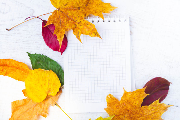 在秋叶中记录的空白笔记本。钢笔和记事本。图片下载
